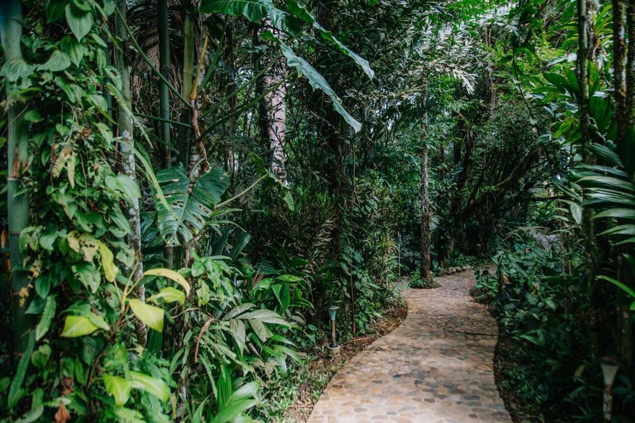 Arahuana Jungle Resort & Spa 테나 외부 사진