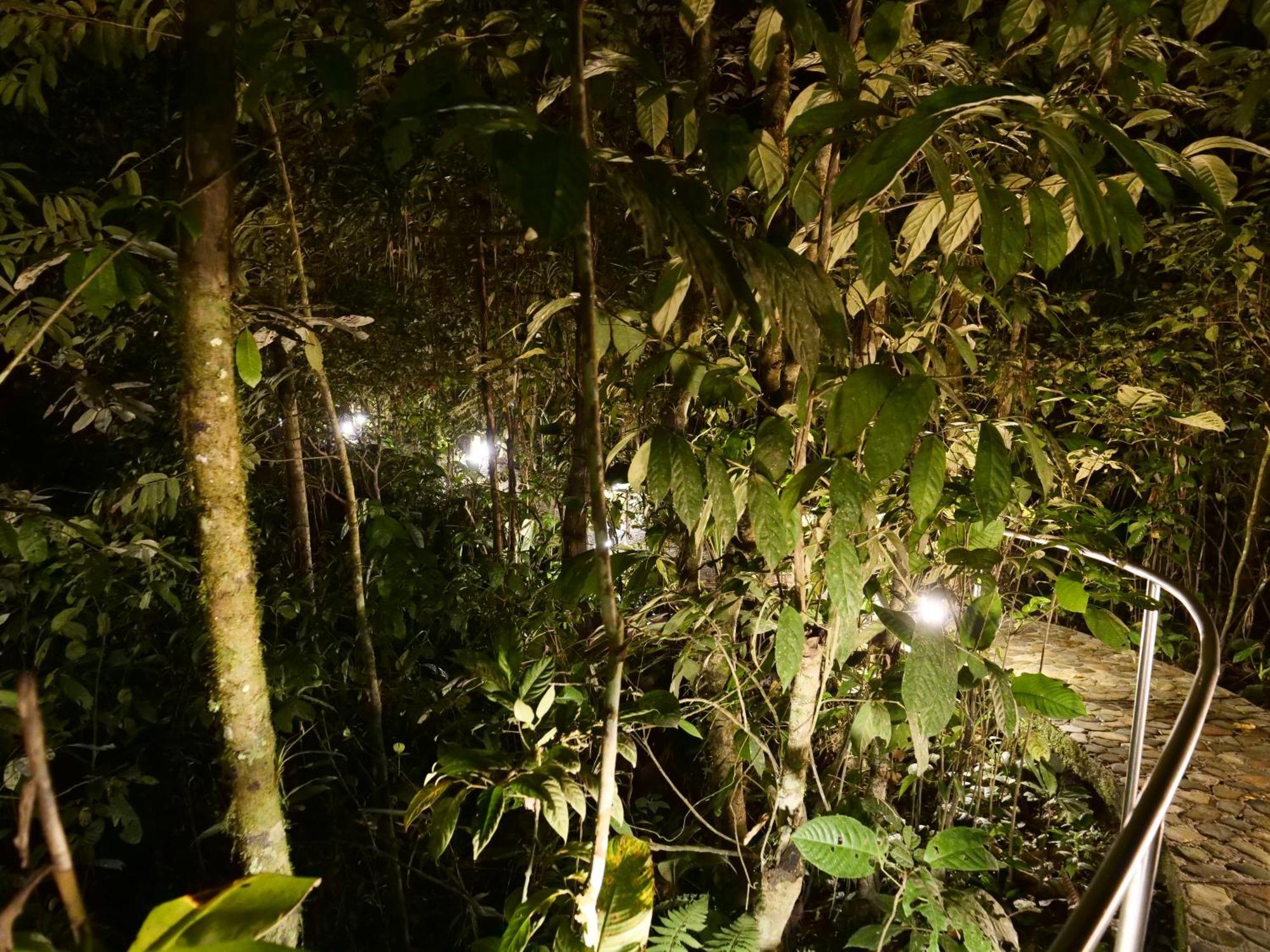 Arahuana Jungle Resort & Spa 테나 외부 사진