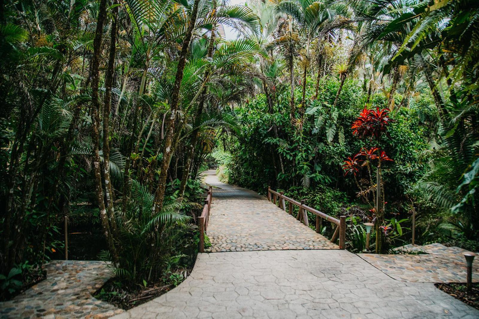 Arahuana Jungle Resort & Spa 테나 외부 사진