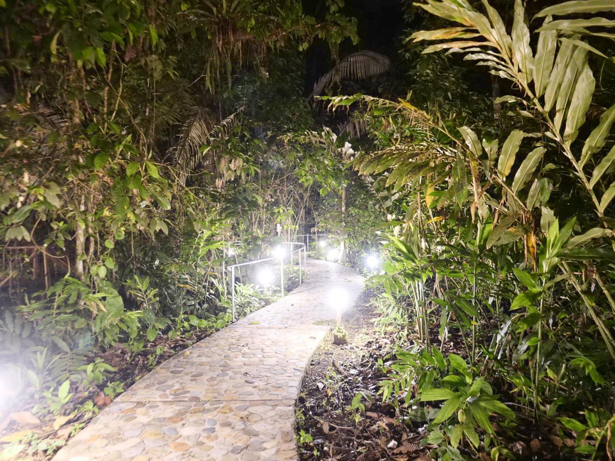 Arahuana Jungle Resort & Spa 테나 외부 사진