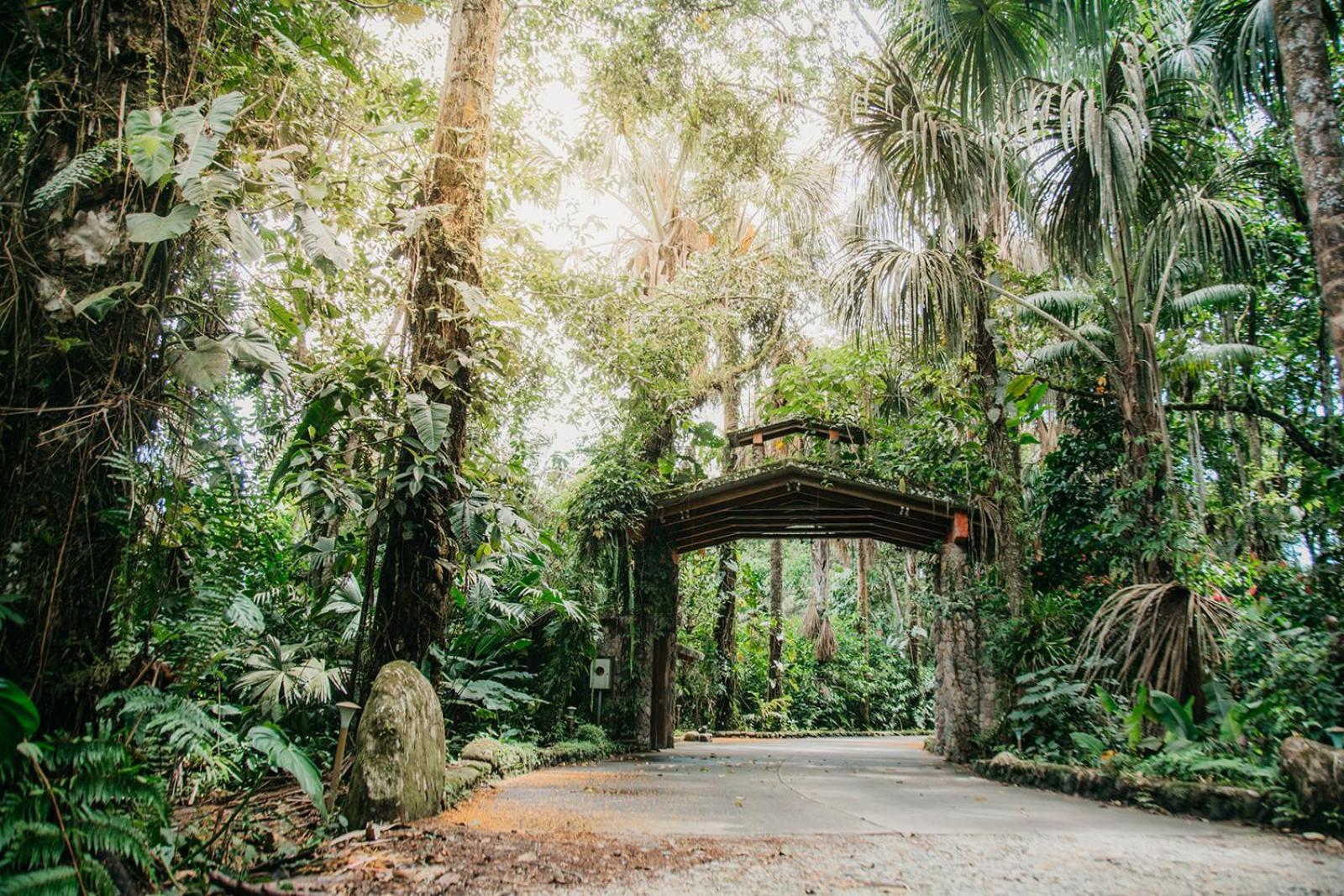 Arahuana Jungle Resort & Spa 테나 외부 사진