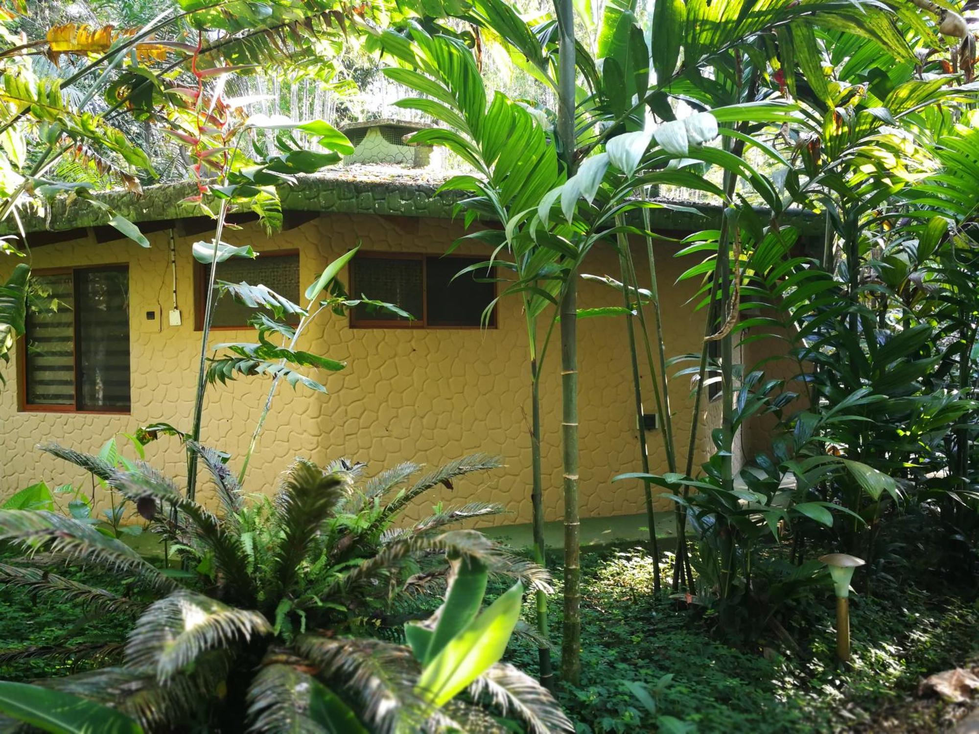 Arahuana Jungle Resort & Spa 테나 외부 사진