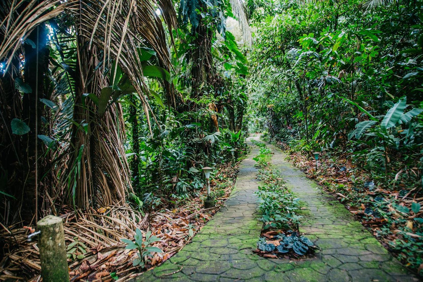 Arahuana Jungle Resort & Spa 테나 외부 사진